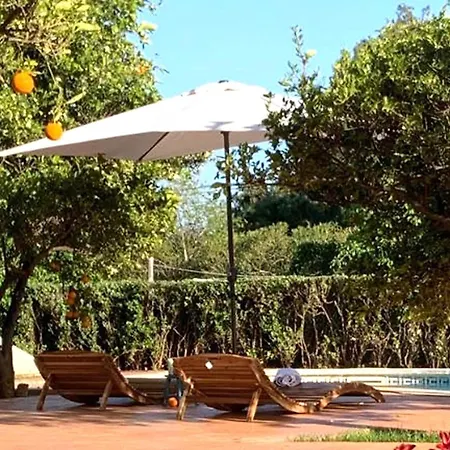 Mansion In Holiday home Riudoms